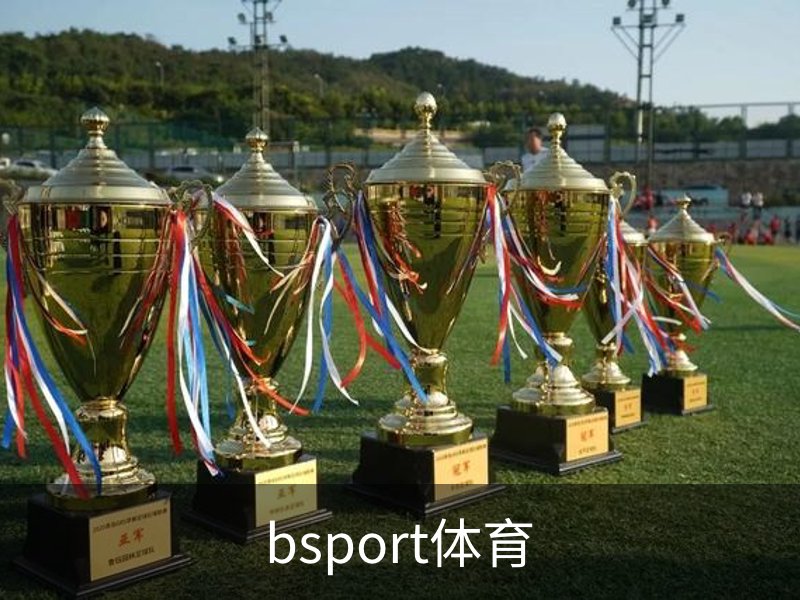 bsport体育介绍